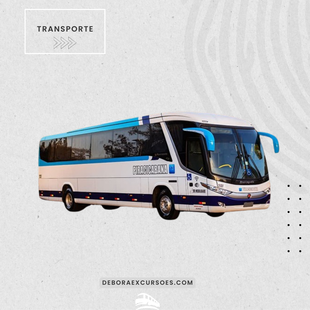 Transporte I Wanna Be Tour